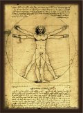 ブロッコリーハイブリッドスリーブ レオナルド・ダ・ヴィンチ「ウィトルウィウス的人体図」 [ブロッコリー] 2025年12月20日発売予定 ≪予約商品≫