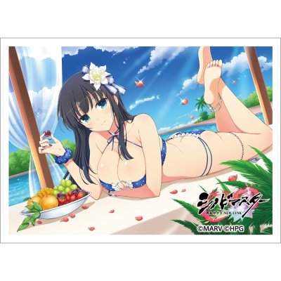 カーテン魂 シノビマスター 閃乱カグラ NEW LINK スリーブ （斑鳩／人気投票爆乳祭）