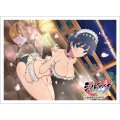 カーテン魂 シノビマスター 閃乱カグラ NEW LINK スリーブ（夜桜／81の日盛・伝説双乳祭） [Key-th] 2026年2月上旬発売予定 ≪予約商品≫