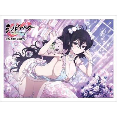 カーテン魂 シノビマスター 閃乱カグラ NEW LINK スリーブ（雪不帰／新乳祭・弐）
