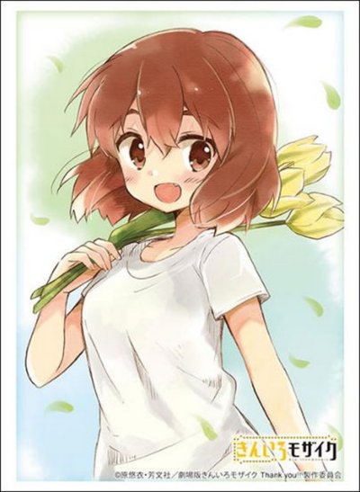 ブシロード スリーブコレクション ハイグレード Vol.4954 きんいろモザイク『猪熊陽子』Part.2