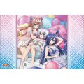 ブシロード ラバーマットコレクション V2 Vol.1886 戦姫絶唱シンフォギアXD UNLIMITED『翼＆クリス＆マリア』 [ブシロード] 2026年1月16日発売予定 ≪予約商品≫
