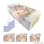 工画堂スタジオイラストレーターセレクション イラストカードボックスNT toi8 旅路