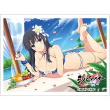 画像: カーテン魂 シノビマスター 閃乱カグラ NEW LINK スリーブ （斑鳩／人気投票爆乳祭） [Key-th] 2026年2月上旬発売予定 ≪予約商品≫