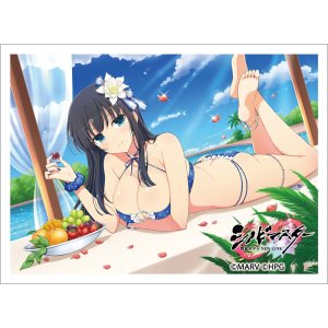 画像: カーテン魂 シノビマスター 閃乱カグラ NEW LINK スリーブ （斑鳩／人気投票爆乳祭） [Key-th] 2026年2月上旬発売予定 ≪予約商品≫