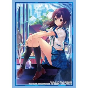 画像: ブシロード スリーブコレクション ハイグレード Vol.4042 電撃文庫　ストライク・ザ・ブラッド『姫柊雪菜』 [ブシロード] 2024年1月26日発売